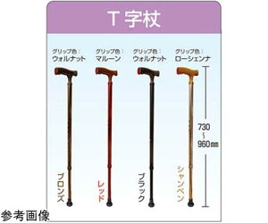 t@[XgCg A~LkTEx[VbN bh 1{ FR-5836