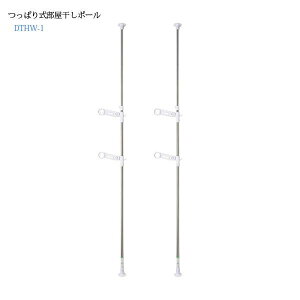 ϐ ˂莮|[DTHW-1