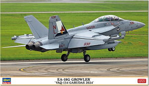 nZK(Hasegawa) 1/72 AJ EA-18G OE[ VAQ-134 K[_X 2024 vf 02487 (s@)
