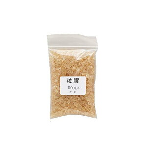 g(Kissho) {pG P 500G