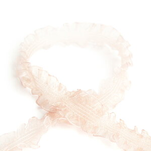 Blanc de �R�A ���{�� N�S�����I�[�K���W�[ No.9750-51 24mm×5m