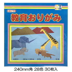 炨肪 (Жʔ) A300-9 28F30g