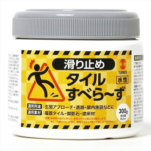 ^[i[F ^C~ߓh ^Cׂ[ TL300801 300ml NA