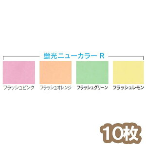 j[J[R ʐF(EAuj[J[R) l 10g tbVO[