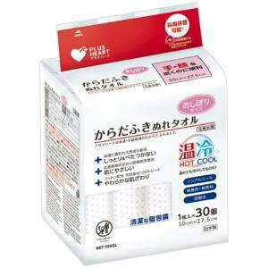 vXn[g 炾ӂʂ^I ڂTCY 30(1×30) hД~ { 74941