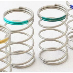 PRO GRESS �X�v�����O R30s �~�f�B�A��(2��)