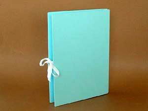 GCi[t@COЂtyz CR-AN1116-BL