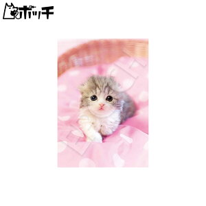 G|bN WO\[pY ԂȂЂƂ 108s[X (18.2x25.7cm) 01-074 