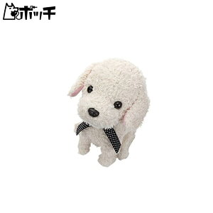 ZKgCY(SEGA TOYS) RR  N[ 