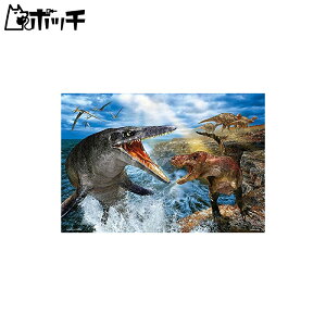 ro[ 300s[X ŋ̐킢 eBmTEXVSTTEX(26×38)93-165 F 