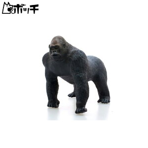 tFobg jV[hS rj[f(FA-304) 