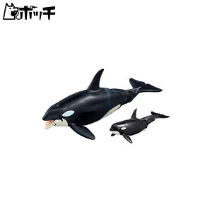 AjA AL-08 V`eq (ɕVer.) 