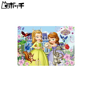 60s[X qpY ȃvZX \tBA \tBÃeB[^C y`ChpYz 