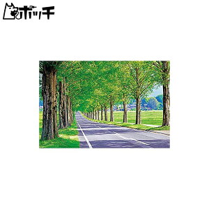 1000s[X WO\[pY ^ZRCAؓ̕ (50x75cm) 