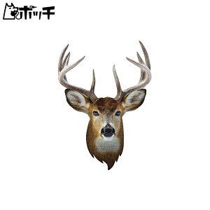 550�s�[�X �W�O�\�[�p�Y�� �r�b�O�t�F�C�X�y�I�W�J�z�i105×75cm�j ��������