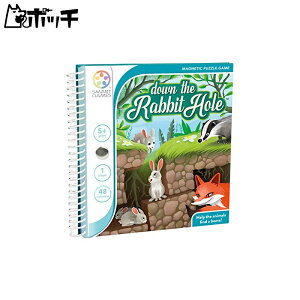 SMRT Games rbg z[ ]g }OlbgpYQ[ SGT290JP Ki 