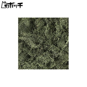 KATO ジオラマ用品 天然素材プランツ ダークグリーン 24-555 鉄道模型用品 おもちゃ