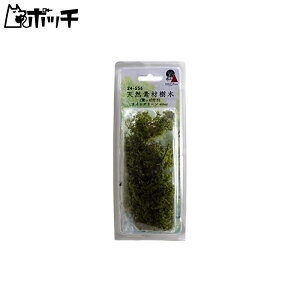 KATO WI}pi VRfގ tϕt CgO[ 24-556 S͌^pi 