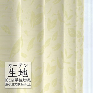 J[en ؂蔄 VR[ abita ZIONE i` h[v [g AZ-2169 i1mȏ10cmPʁj