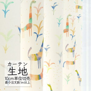 J[en ؂蔄 VR[ abita ZIONE |bv h[v ApJ AZ-2307 i1mȏ10cmPʁj