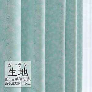 J[en ؂蔄 VR[ abita ZIONE Ռ h[v VF AZ-2477 i1mȏ10cmPʁj