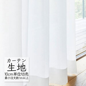 J[en ؂蔄 VR[ abita ZIONE VA[ {C AZ-2541 i1mȏ10cmPʁj