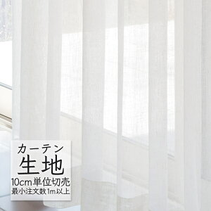 J[en ؂蔄 VR[ abita ZIONE VA[ {C AZ-2543 i1mȏ10cmPʁj