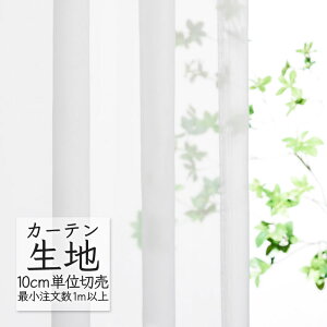 J[en ؂蔄 VR[ abita ZIONE VA[ {C AZ-2561 i1mȏ10cmPʁj