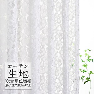 J[en ؂蔄 VR[ abita ZIONE VA[ [X AZ-2566 i1mȏ10cmPʁj