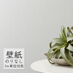 ǎ ̂Ȃ rj[NX VR[ BIG ACE ߓV BA7218 i1mPʁj