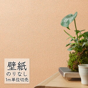 ǎ ̂Ȃ rj[NX VR[ BEST a BB2636 i1mPʁj