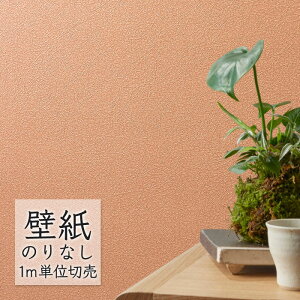 ǎ ̂Ȃ rj[NX VR[ BEST a BB2637 i1mPʁj