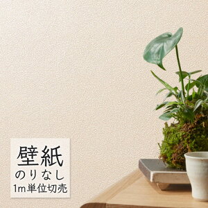 ǎ ̂Ȃ rj[NX VR[ BEST a BB2638 i1mPʁj