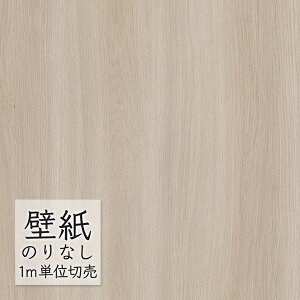 ǎ ̂Ȃ rj[NX  DECOPOWER }eA ݂̂sRFǎ WVP8031 i1mPʁj