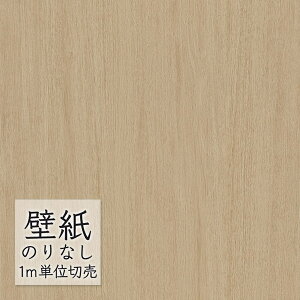 ǎ ̂Ȃ rj[NX  DECOPOWER }eA ݂̂sRFǎ WVP8034 i1mPʁj