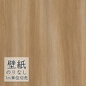 ǎ ̂Ȃ rj[NX  DECOPOWER }eA ݂̂sRFǎ WVP8038 i1mPʁj