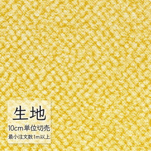 n ؂蔄  rj[U[ VR[ FURNISHING LEATHER [h L-6069i1mȏ10cmPʁj