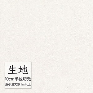 n ؂蔄  rj[U[ VR[ FURNISHING LEATHER nCS L-6501i1mȏ10cmPʁj