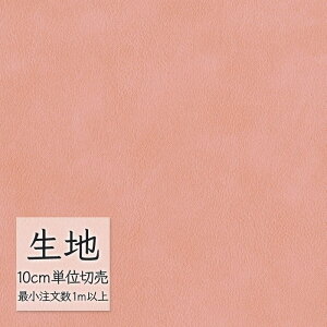 n ؂蔄  rj[U[ VR[ FURNISHING LEATHER nCS L-6503i1mȏ10cmPʁj