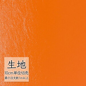 n ؂蔄  rj[U[ VR[ FURNISHING LEATHER j[gbv L-6669i1mȏ10cmPʁj