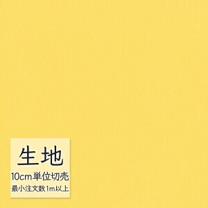 n ؂蔄  rj[U[ VR[ FURNISHING LEATHER NY(R)2 L-6675i1mȏ10cmPʁj