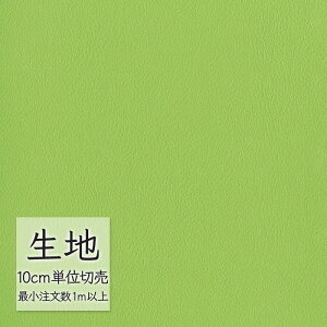 n ؂蔄  rj[U[ VR[ FURNISHING LEATHER NY(R)2 L-6682i1mȏ10cmPʁj