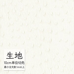 n ؂蔄  rj[U[ VR[ FURNISHING LEATHER }[b` L-6869i1mȏ10cmPʁj