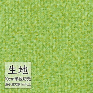 n ؂蔄  rj[U[ VR[ FURNISHING LEATHER ANVI L-6898i1mȏ10cmPʁj