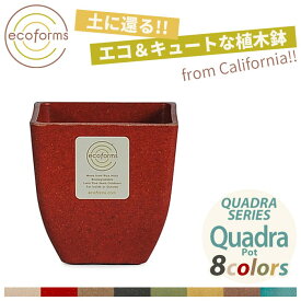 植木鉢 ecoforms（エコフォームズ） クアドラポット Pot Quadra QP1