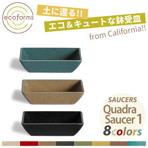 M ecoformsiGRtH[Yj NAh\[T[1 Saucer Quadra 1 SQ1