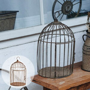 K[fjOG fBXvCG  BeB[Eo[hP[W