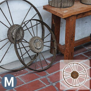 K[fjOG fBXvCG ԗ  BeB[EzC[EM