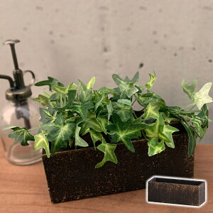 植木鉢 おしゃれ 長方形 四角 横長 ノワオール・レクトポット