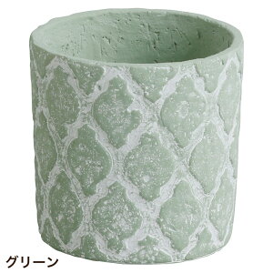 �A�ؔ� �k���� ������� ������ �Z�����g�|�b�g �ی` �R�[�V�F���E���E���h�|�b�g�EL